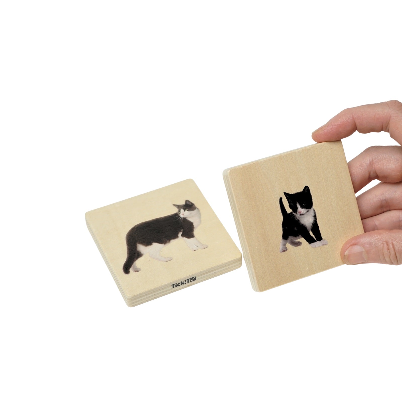 Holz-Memo - Welche Tiere gehören zusammen