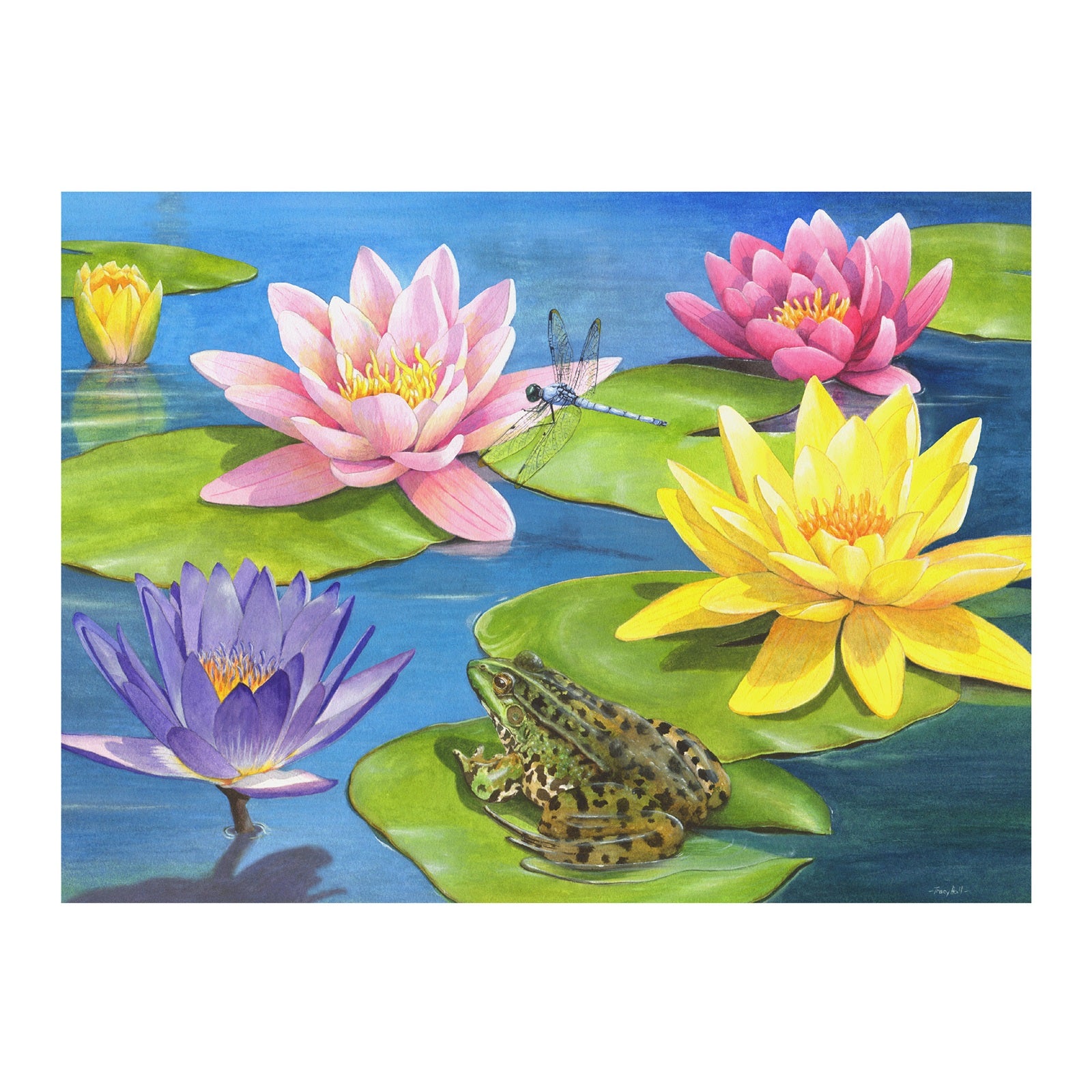 Puzzle - Lily Pond - 13 Teile
