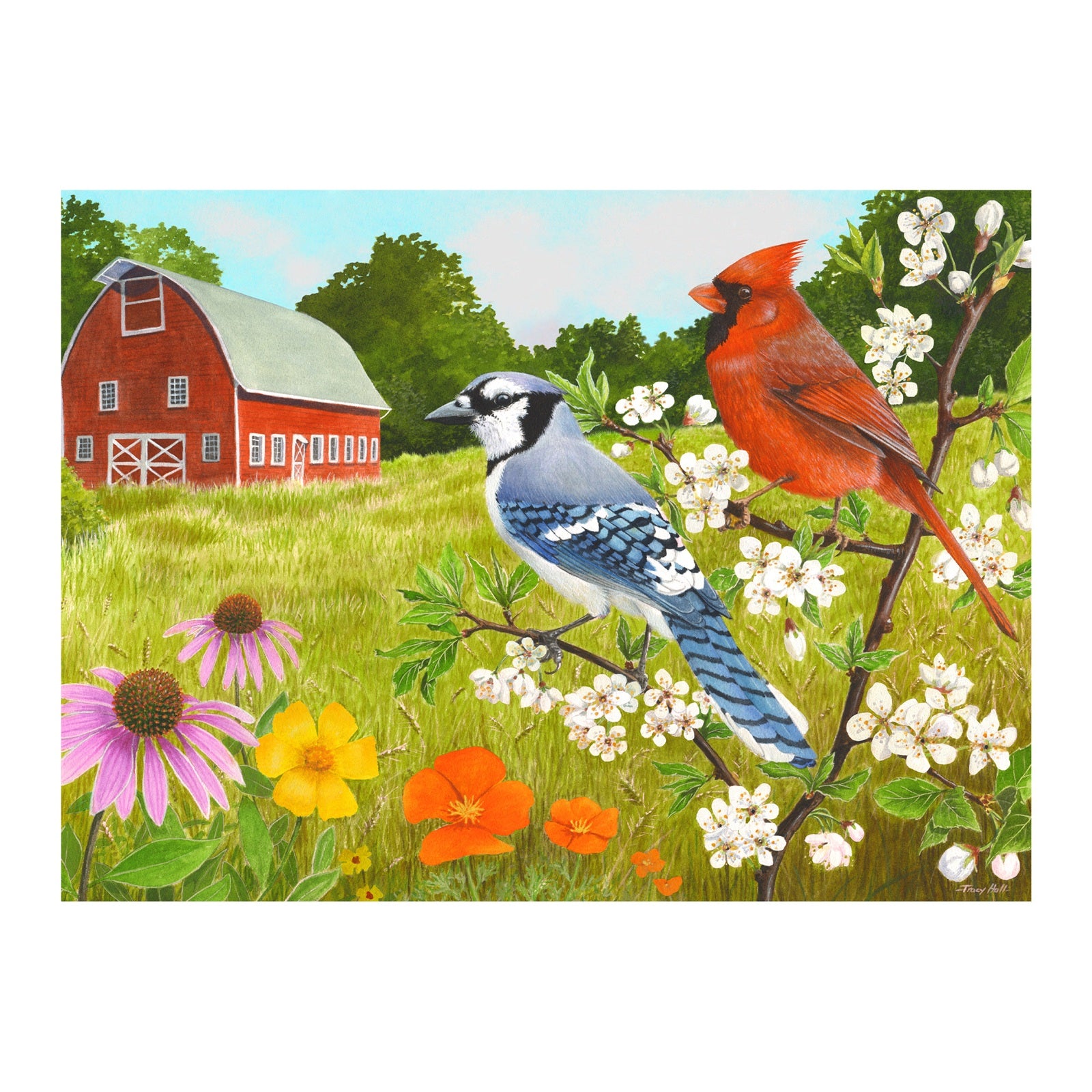 Puzzle - Summer Birds - 13 Teile