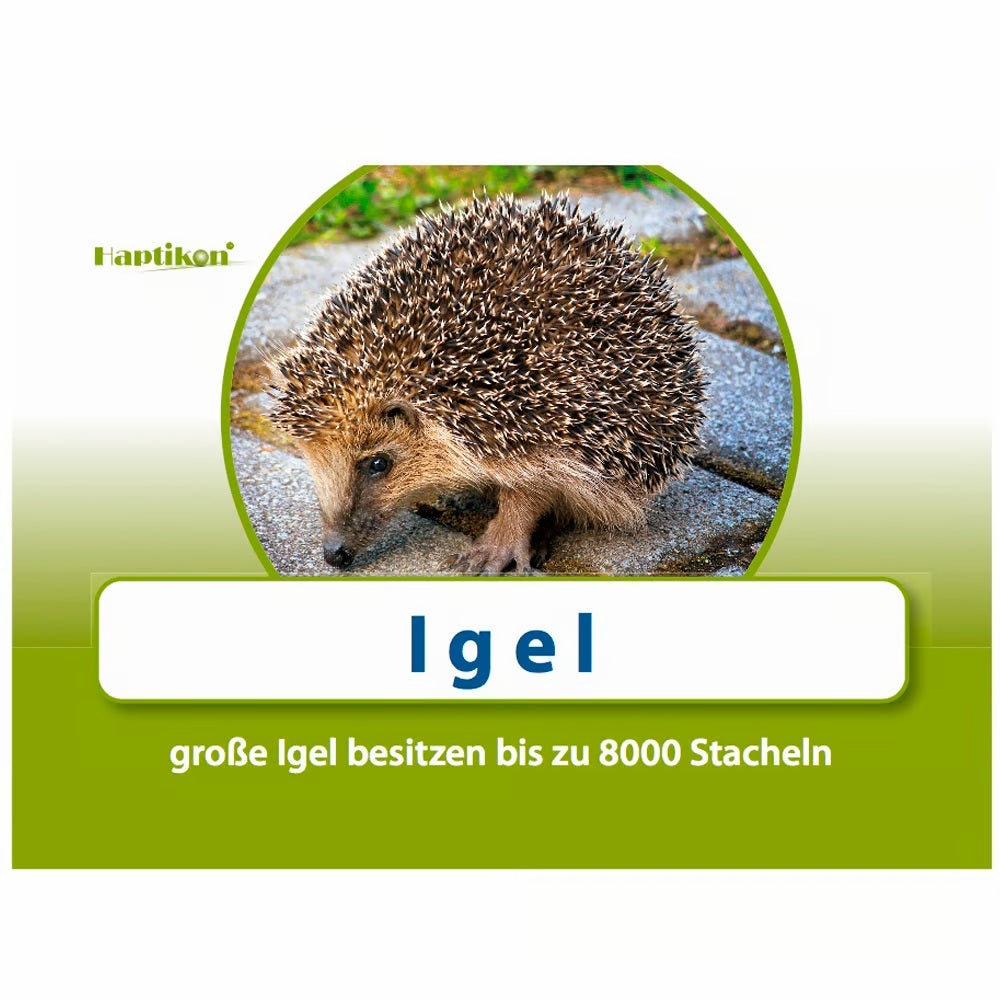 Afbeeelding van het spel WortArchitekt, speciaal geselecteerd  voor ouderen met dementie.