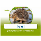 Afbeeelding van het spel WortArchitekt, speciaal geselecteerd  voor ouderen met dementie.