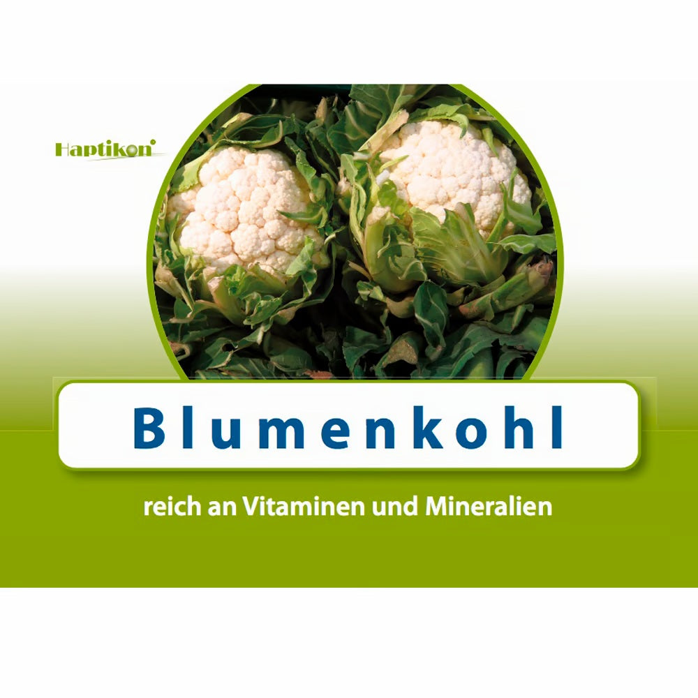 Afbeeelding van het spel WortArchitekt, speciaal geselecteerd  voor ouderen met dementie.