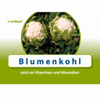 Afbeeelding van het spel WortArchitekt, speciaal geselecteerd  voor ouderen met dementie.