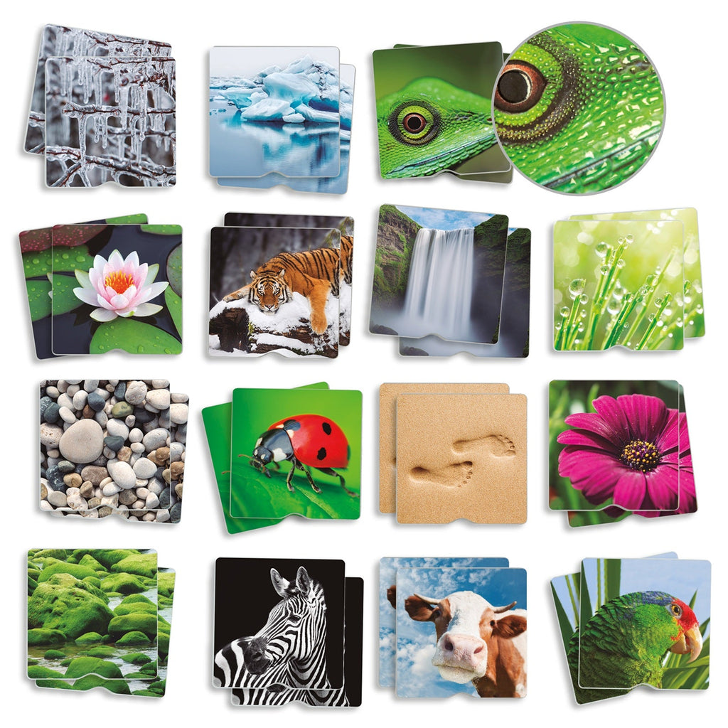 Memo Textuur Natuur – Gevoelsmemo met natuurlijke texturen, stimuleert tastzin en geheugen bij senioren.