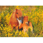 Puzzle Ravensburger - Shetlandponys (100 XXL)