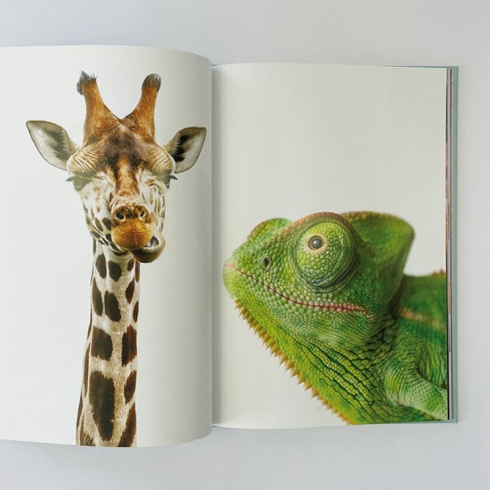 Het Grote Prentenboek – Beeldverhalen die creativiteit en herinneringen stimuleren voor ouderen.