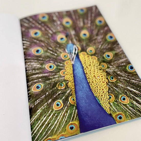 Het Grote Prentenboek – Beeldverhalen die creativiteit en herinneringen stimuleren voor ouderen.