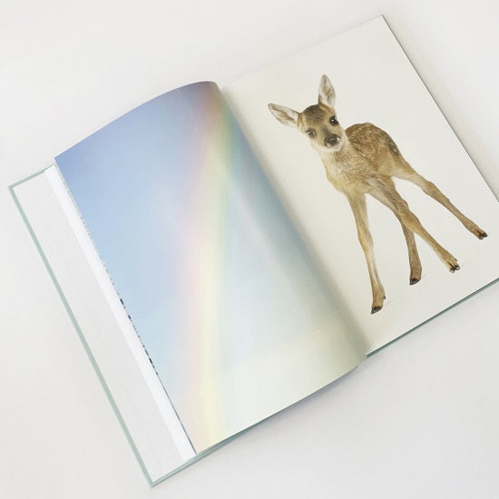 Het Grote Prentenboek – Beeldverhalen die creativiteit en herinneringen stimuleren voor ouderen.