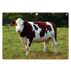 Afbeeelding van het spel Audio Flashcards - Alledaagse Geluiden, speciaal geselecteerd  voor ouderen met dementie.