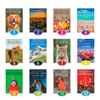 Afbeeelding van het spel Set Fotoboeken, speciaal geselecteerd  voor ouderen met dementie.