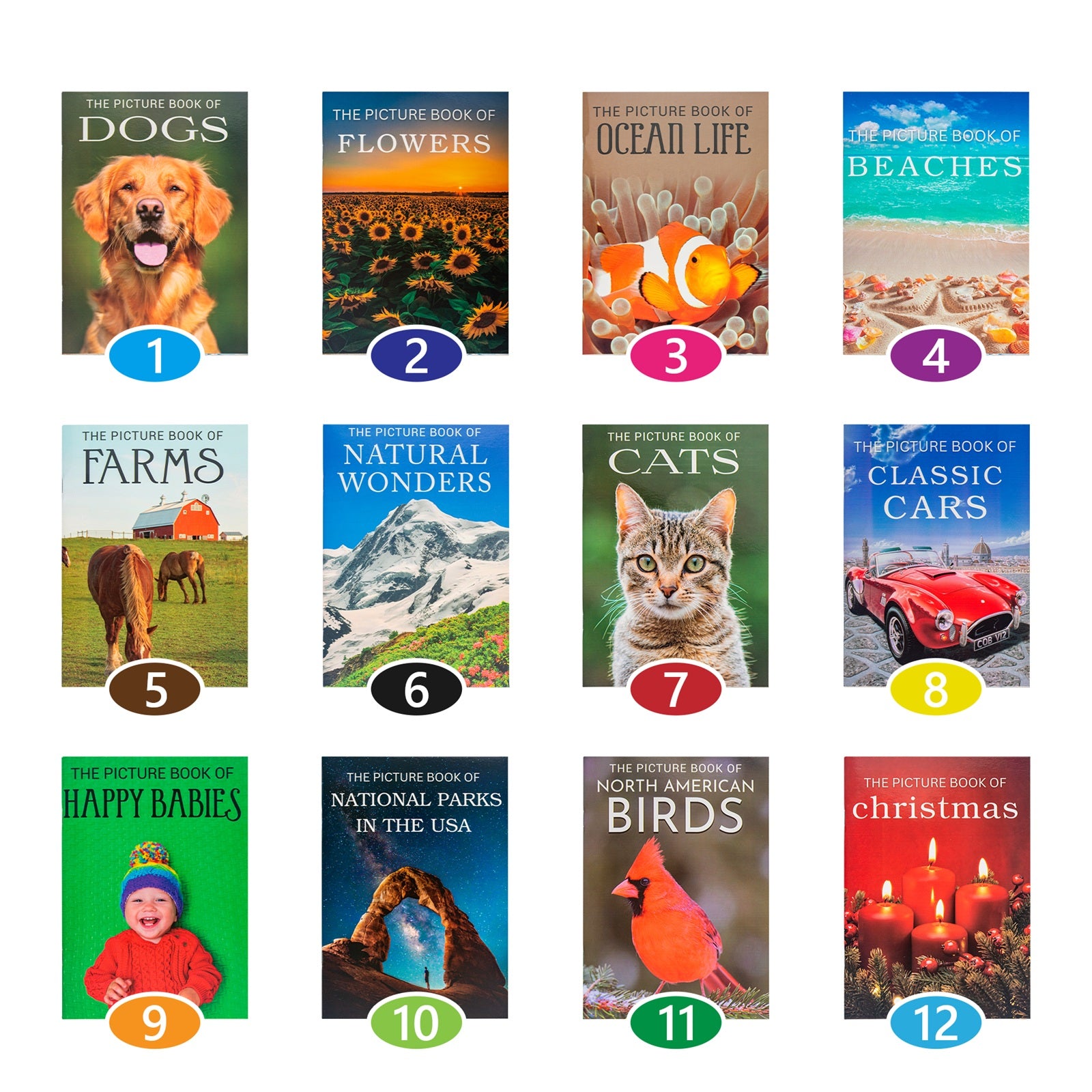 Afbeeelding van het spel Set Fotoboeken, speciaal geselecteerd  voor ouderen met dementie.