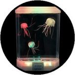 Aquarium - mit 'glow in the dark' Qualle