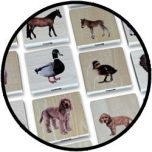 Memo-Spiel - Domestic Animal Family Set
