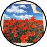 Ramenpuzzle Mohn