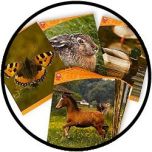 Karten Naturfotos