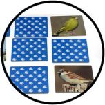 Memo-Spiel Vogel - Pärchen gesucht