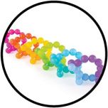 BendiBeads – Regenbogen – 12 pc. einstellen