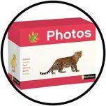 Foto-Box - Tiere