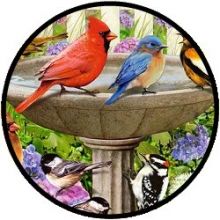 Puzzle Ravensburger - At the Birdbath (500 XL)