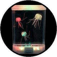 Aquarium - mit 'glow in the dark' Qualle