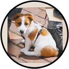 Rahmenpuzzle Welpe