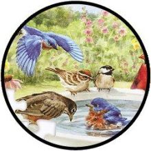 35 Teile Puzzle 'Bathing Birds'