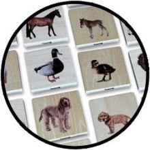 Memo-Spiel - Domestic Animal Family Set