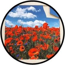 Ramenpuzzle Mohn