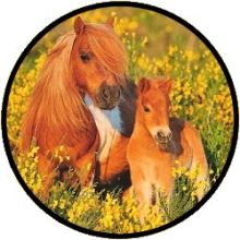 Puzzle Ravensburger - Shetlandponys (100 XXL)