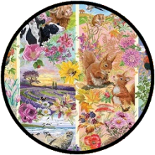 Puzzle - Trough the Seasons (500 XL)