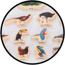 Holz-Vogelblöcke (15 Stück)