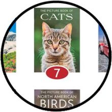 Bildbände Set (12 Stück)