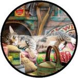 Puzzle - Snoozing in the Shed (500 XL)